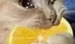 火影许愿夺宝最新爆料,神秘宝藏揭晓，最新爆料揭秘夺宝之路！